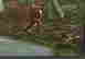 item-47072236=2