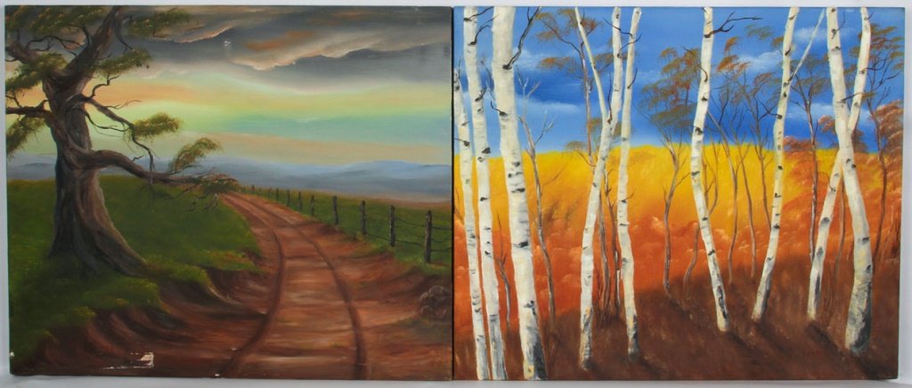 TWO ROBERT JOHNSON FLORIDA SCENES OIL ON CANVAS: TWO ROBERT JOHNSON FLORIDA SCENES OIL ON CANVAS Lot of two paintings by Robert Johnson (American), oil on canvas, depicts Florida rural and wood scenes. Boards are both 20 x 24". No frame. Shipping /