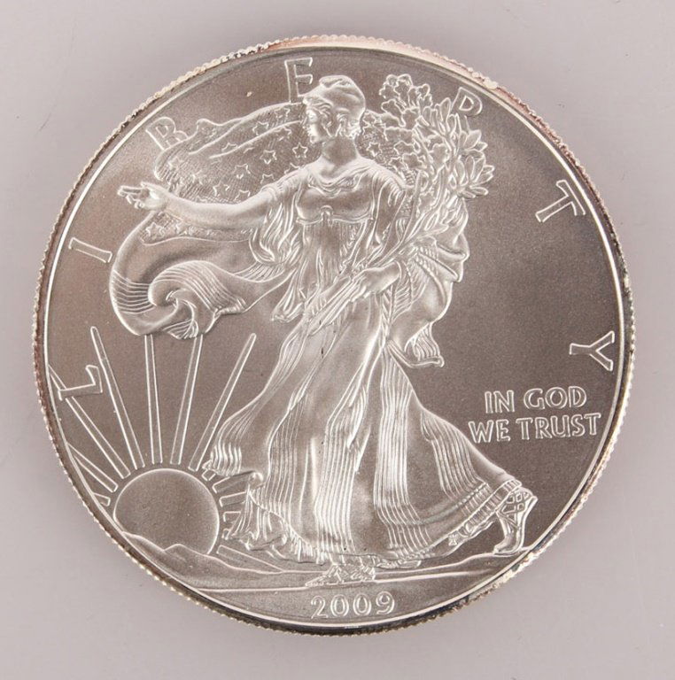 2009 UNCIRCULATED ONE OUNCE SILVER EAGLE (1 of 2)