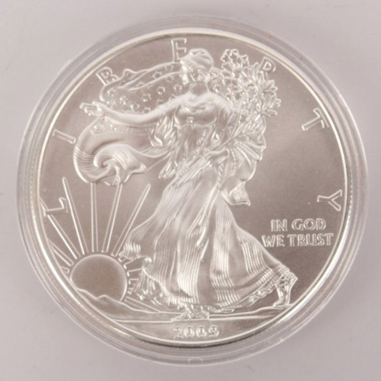 2009 UNCIRCULATED ONE OUNCE SILVER EAGLE (1 of 2)