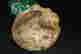item-34992551=4