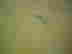 item-43344239=5