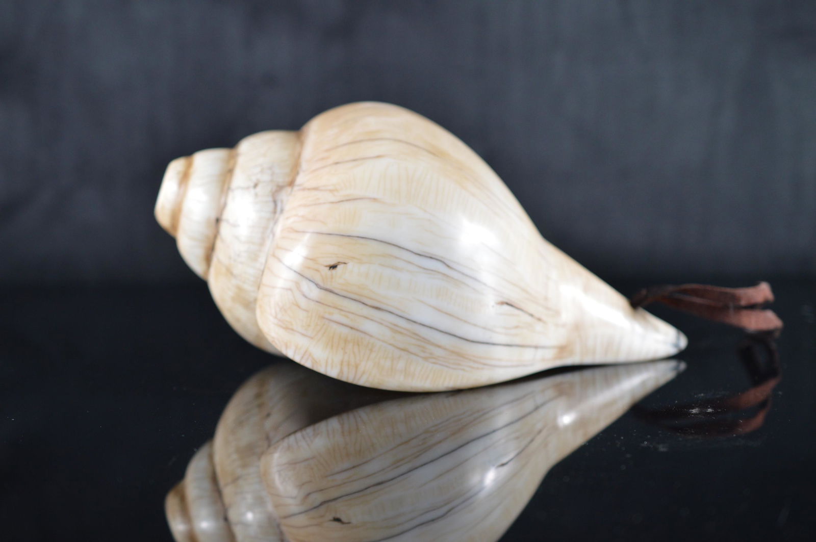 19th Century Buddha Conch Shell (1 of 5)