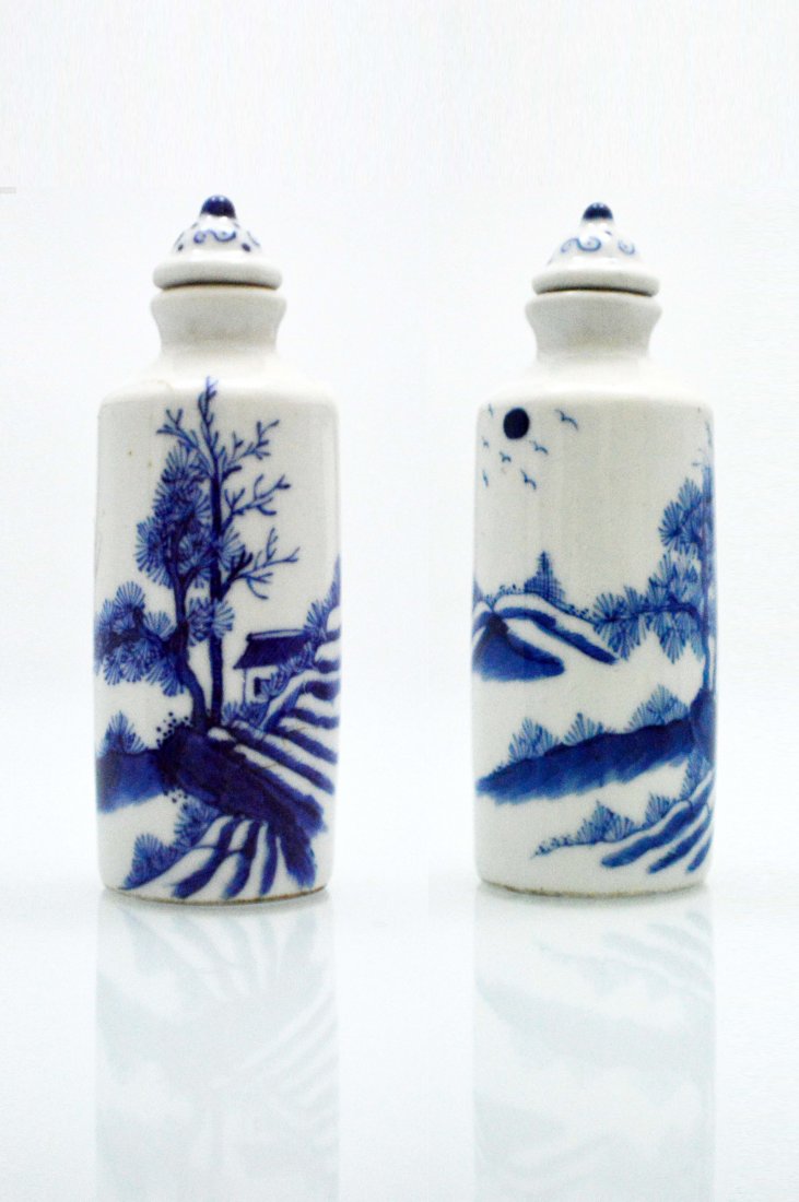 Pair Porcelain Landscape Snuff Bottle (1 of 9)