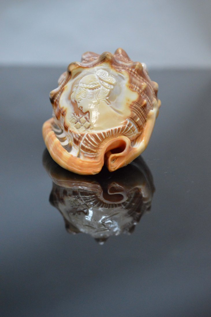 Vintage Seashell carved with Victorian Lady: Beautiful Pink Seashell with a delicately carved elegant Victorian Lady with flower.