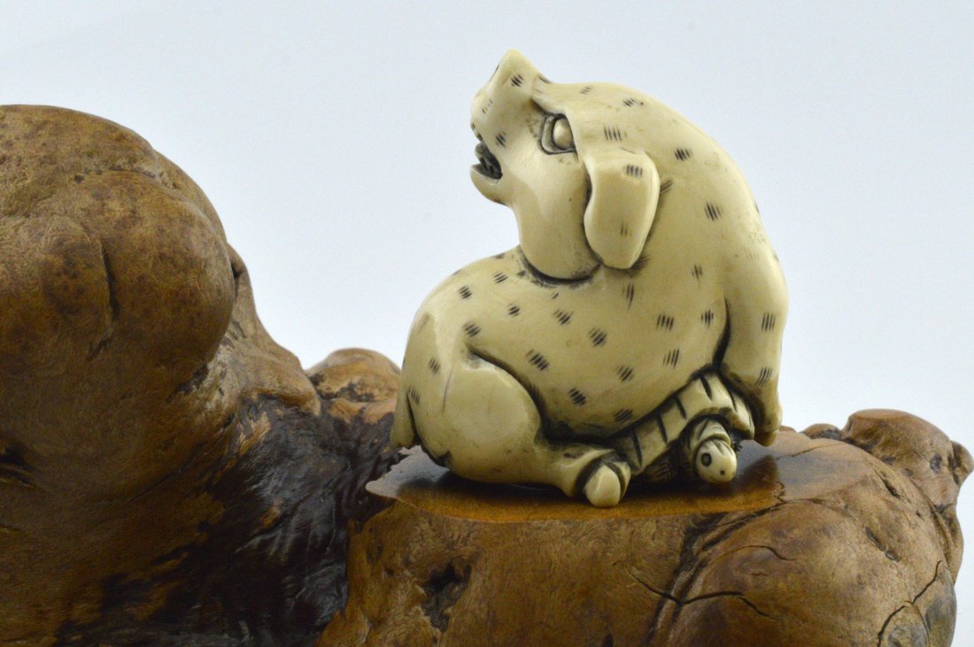 Antique Ivory Carved Netsuke: Puppy on Turtle (1 of 6)