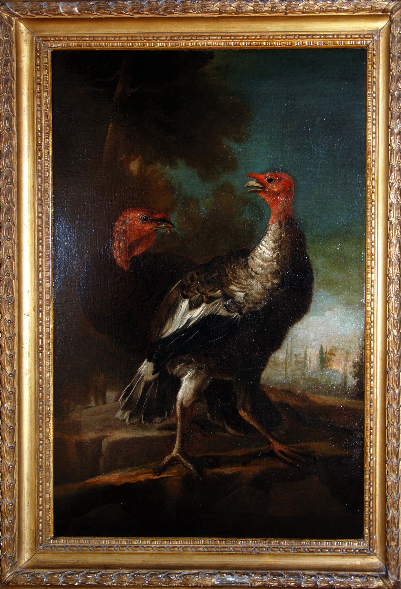 Angelo Maria Crivelli 1650-1730 olio su tela ,: Angelo Maria Crivelli 1650-1730 olio su tela raff.due tacchini sec. XVII cm. 76x112