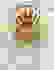 item-62220677=4