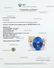 61.35 CTW Natural Blue Sapphire And Diamond Necklace In - 5