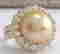 item-81288717=2