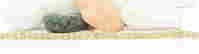 item-83450095=5