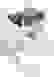 item-89227590=4