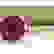item-92229700=2