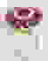 item-92581510=3