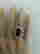 item-102851781=5