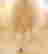 item-117710564=3