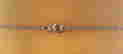 item-117710564=4