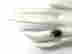 item-119061630=4