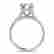 item-121173501=2