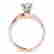 item-121173567=4