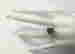 item-121210684=4