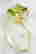 item-121210692=3