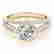 item-121453851=2