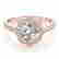 item-121453856=2