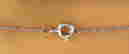 item-128792619=4