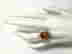 item-128793501=4