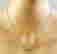 item-128794508=3