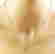 item-128793299=3