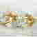 item-131499991=2