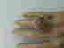 item-130986540=5