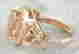 item-131551729=6