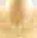 item-131556024=3