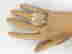 item-131556919=4