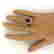 item-131559904=5