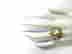 item-131560124=4