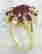 item-131555316=3