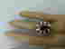 item-131555316=5