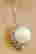 item-131555295=2