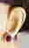 item-131557111=5