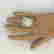 item-131559217=5