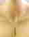 item-134170192=2