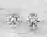 item-134173019=3