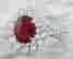 item-134170544=2
