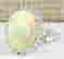 item-137685769=2