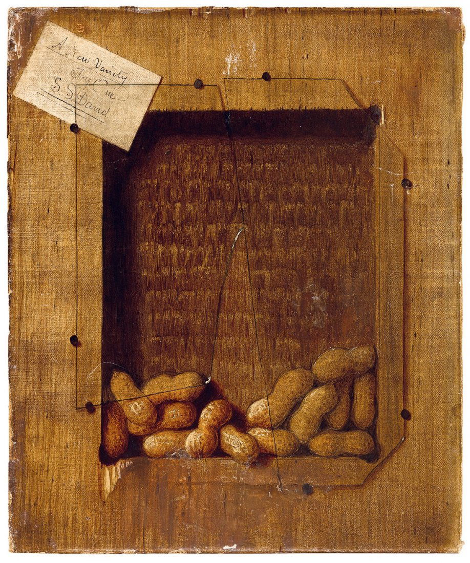 David Scott Evans: DescriptionTromp l'oeil (Peanuts) Size (cm)30 x 25 Techniqueoil on canvas Signedsigned upper left A new Variety Try One S. S. David