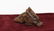 Tibet Himalayan tribes 1910/1920 Stone Pendant, Fu dog\